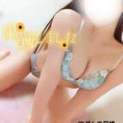 ヒメ日記 2025/06/20 23:37 投稿 ことね マダムの品格