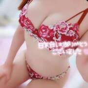 ヒメ日記 2025/06/25 17:02 投稿 ことね マダムの品格