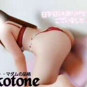 ヒメ日記 2025/06/26 17:00 投稿 ことね マダムの品格