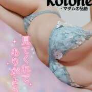 ヒメ日記 2025/06/28 17:01 投稿 ことね マダムの品格