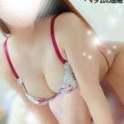 ヒメ日記 2025/06/30 17:01 投稿 ことね マダムの品格