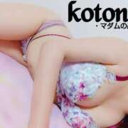 ヒメ日記 2025/06/30 19:02 投稿 ことね マダムの品格