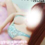 ヒメ日記 2025/07/01 17:01 投稿 ことね マダムの品格