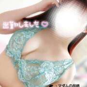 ヒメ日記 2025/07/01 19:02 投稿 ことね マダムの品格