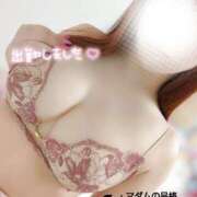 ヒメ日記 2025/07/05 12:20 投稿 ことね マダムの品格