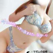 ヒメ日記 2025/07/08 17:00 投稿 ことね マダムの品格