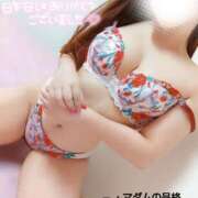 ヒメ日記 2025/07/10 17:02 投稿 ことね マダムの品格