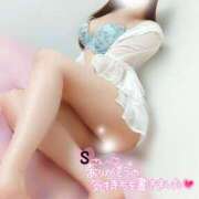 ヒメ日記 2025/07/18 08:48 投稿 ことね マダムの品格