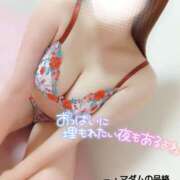 ヒメ日記 2025/07/20 01:10 投稿 ことね マダムの品格