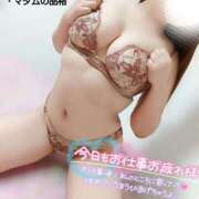 ヒメ日記 2025/07/24 00:08 投稿 ことね マダムの品格