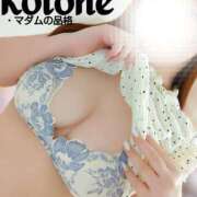 ヒメ日記 2025/07/24 23:54 投稿 ことね マダムの品格