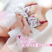 ヒメ日記 2025/08/01 03:47 投稿 ことね マダムの品格