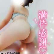 ヒメ日記 2025/08/07 05:05 投稿 ことね マダムの品格