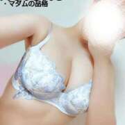 ヒメ日記 2025/08/15 19:04 投稿 ことね マダムの品格