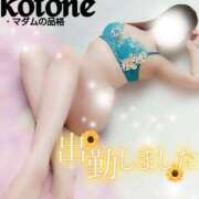 ヒメ日記 2025/08/20 12:18 投稿 ことね マダムの品格