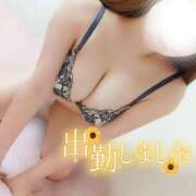 ヒメ日記 2025/08/23 19:02 投稿 ことね マダムの品格