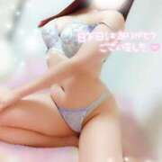 ヒメ日記 2025/08/28 17:01 投稿 ことね マダムの品格