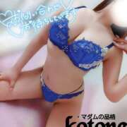 ヒメ日記 2025/09/11 17:01 投稿 ことね マダムの品格