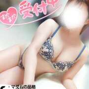 ヒメ日記 2025/09/16 01:06 投稿 ことね マダムの品格