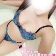 ヒメ日記 2025/09/28 23:52 投稿 ことね マダムの品格