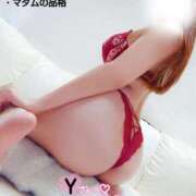 ヒメ日記 2025/10/01 21:54 投稿 ことね マダムの品格