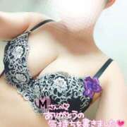 ヒメ日記 2025/10/11 05:12 投稿 ことね マダムの品格