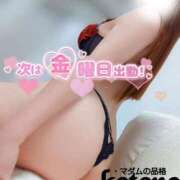 ヒメ日記 2025/11/02 20:28 投稿 ことね マダムの品格