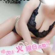 ヒメ日記 2025/11/11 10:06 投稿 ことね マダムの品格