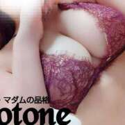 ヒメ日記 2025/11/12 17:01 投稿 ことね マダムの品格