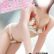 ヒメ日記 2025/11/13 19:17 投稿 ことね マダムの品格