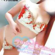 ヒメ日記 2025/11/14 22:45 投稿 ことね マダムの品格