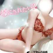 ヒメ日記 2025/11/17 17:01 投稿 ことね マダムの品格