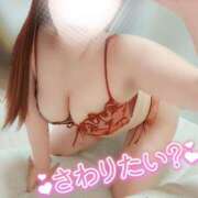 ヒメ日記 2025/11/18 00:25 投稿 ことね マダムの品格