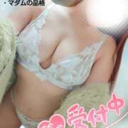 ヒメ日記 2025/11/19 21:37 投稿 ことね マダムの品格