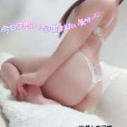 ヒメ日記 2025/12/02 23:50 投稿 ことね マダムの品格