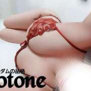 ヒメ日記 2025/12/06 02:17 投稿 ことね マダムの品格