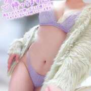 ヒメ日記 2025/12/14 02:10 投稿 ことね マダムの品格