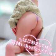 ヒメ日記 2025/12/15 05:14 投稿 ことね マダムの品格