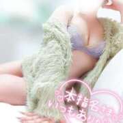 ヒメ日記 2025/12/15 05:29 投稿 ことね マダムの品格