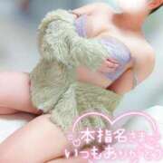 ヒメ日記 2025/12/15 05:34 投稿 ことね マダムの品格