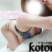 ヒメ日記 2025/12/19 17:08 投稿 ことね マダムの品格