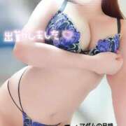 ヒメ日記 2025/12/19 19:11 投稿 ことね マダムの品格