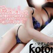 ヒメ日記 2025/12/27 19:04 投稿 ことね マダムの品格