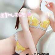 ヒメ日記 2026/01/15 19:09 投稿 ことね マダムの品格