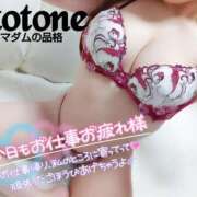 ヒメ日記 2026/01/28 22:09 投稿 ことね マダムの品格