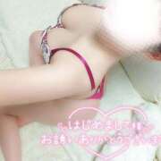 ヒメ日記 2026/01/29 15:57 投稿 ことね マダムの品格