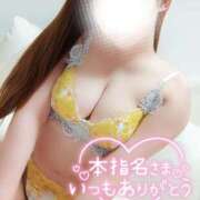 ヒメ日記 2026/02/16 07:21 投稿 ことね マダムの品格