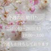 ヒメ日記 2026/02/25 12:02 投稿 ことね マダムの品格