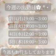 ヒメ日記 2026/03/02 17:01 投稿 ことね マダムの品格