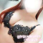 ヒメ日記 2026/03/11 17:02 投稿 ことね マダムの品格